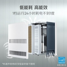 布魯雅爾(Blueair)空氣凈化器 303 高效去除甲醛二手煙異味細(xì)菌霧霾PM2.5除花粉 臥室嬰兒房