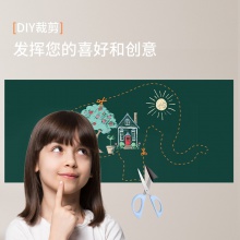 得力50130軟鐵綠板450×1000mm(帶膠)(綠色)(盒)