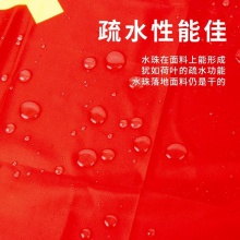 得力4221-1號黨旗(紅色)(面)